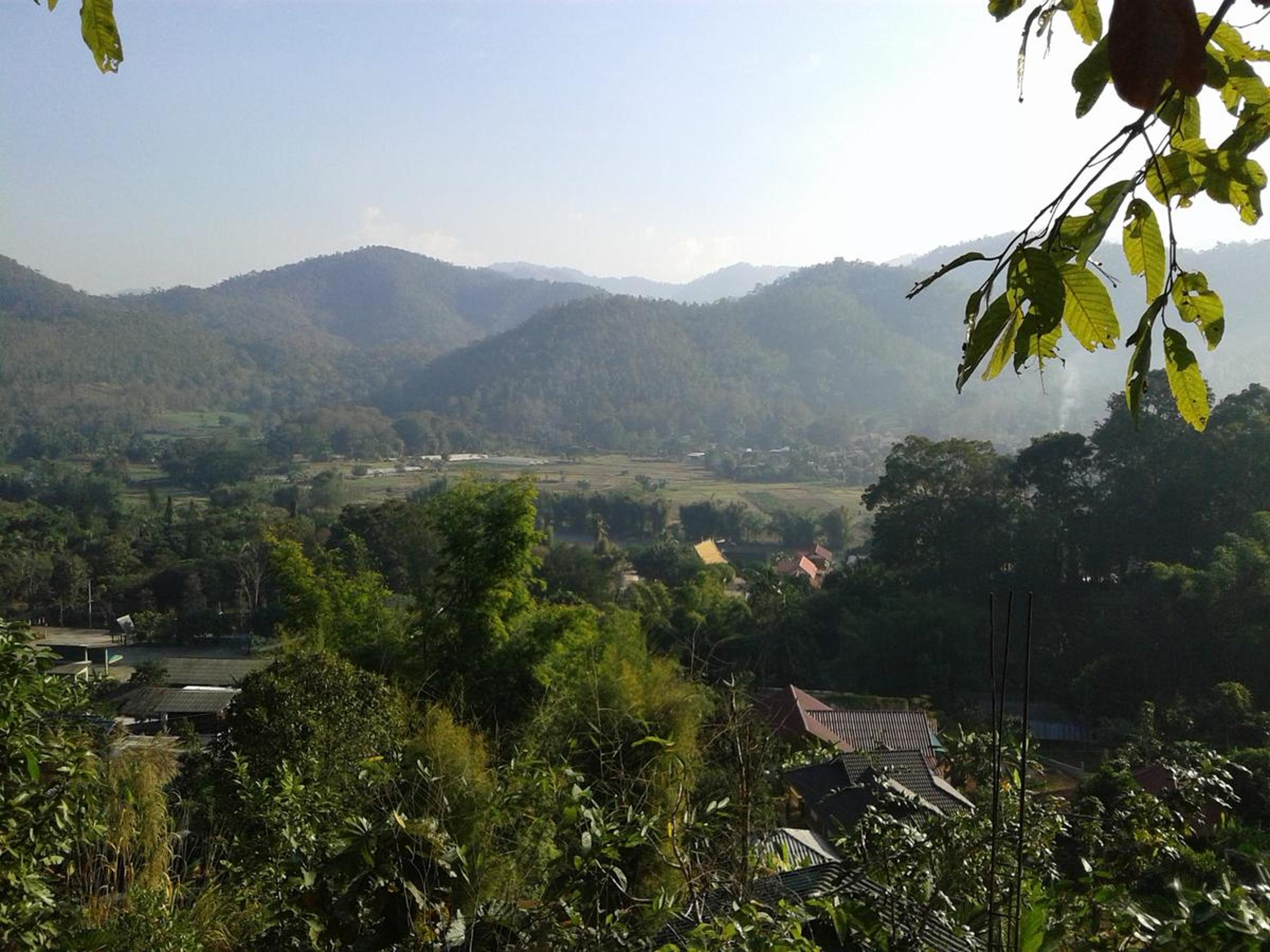 Forest Guesthouse