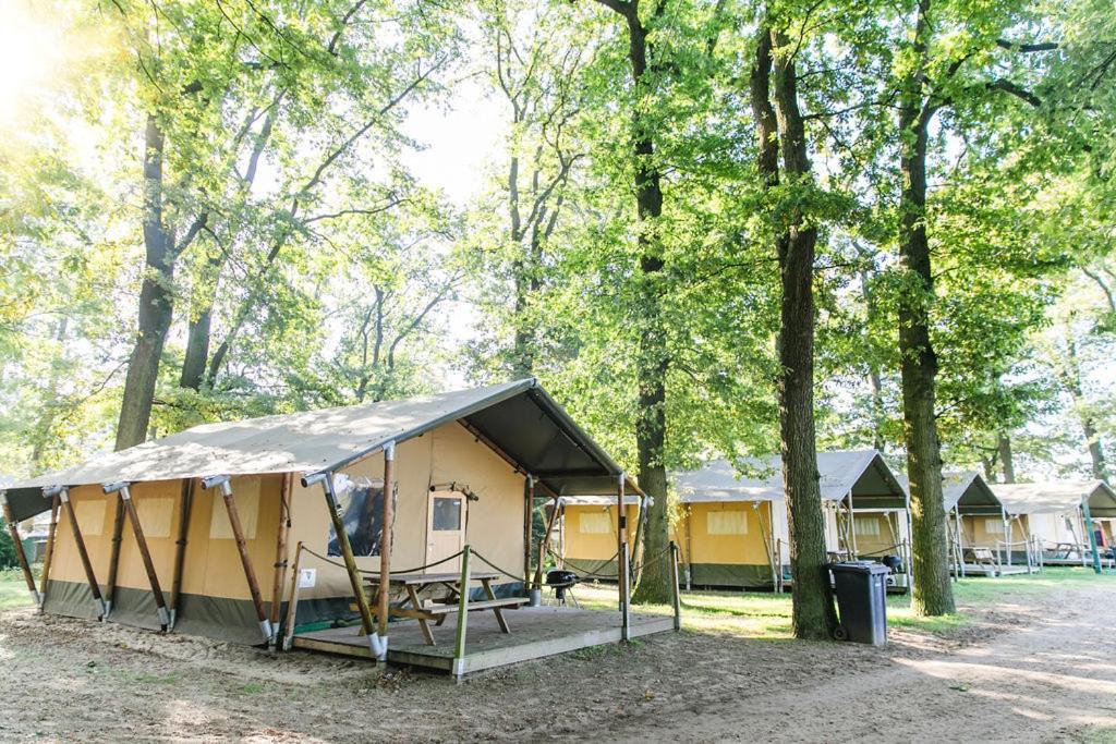 Ferienhäuser Seepark Ternsche