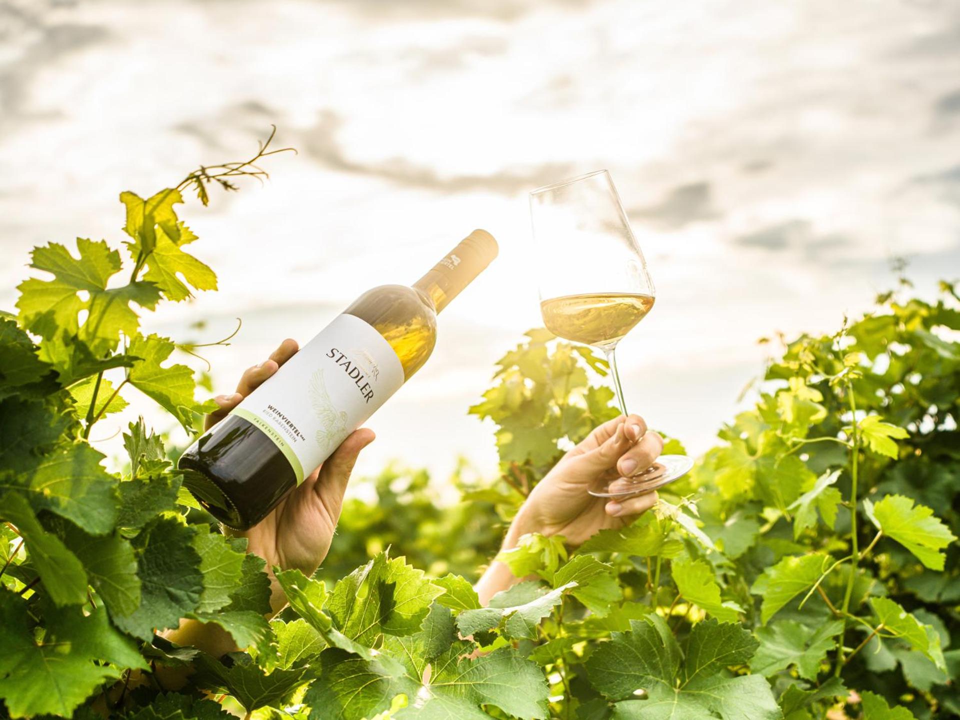 Weingut Stadler