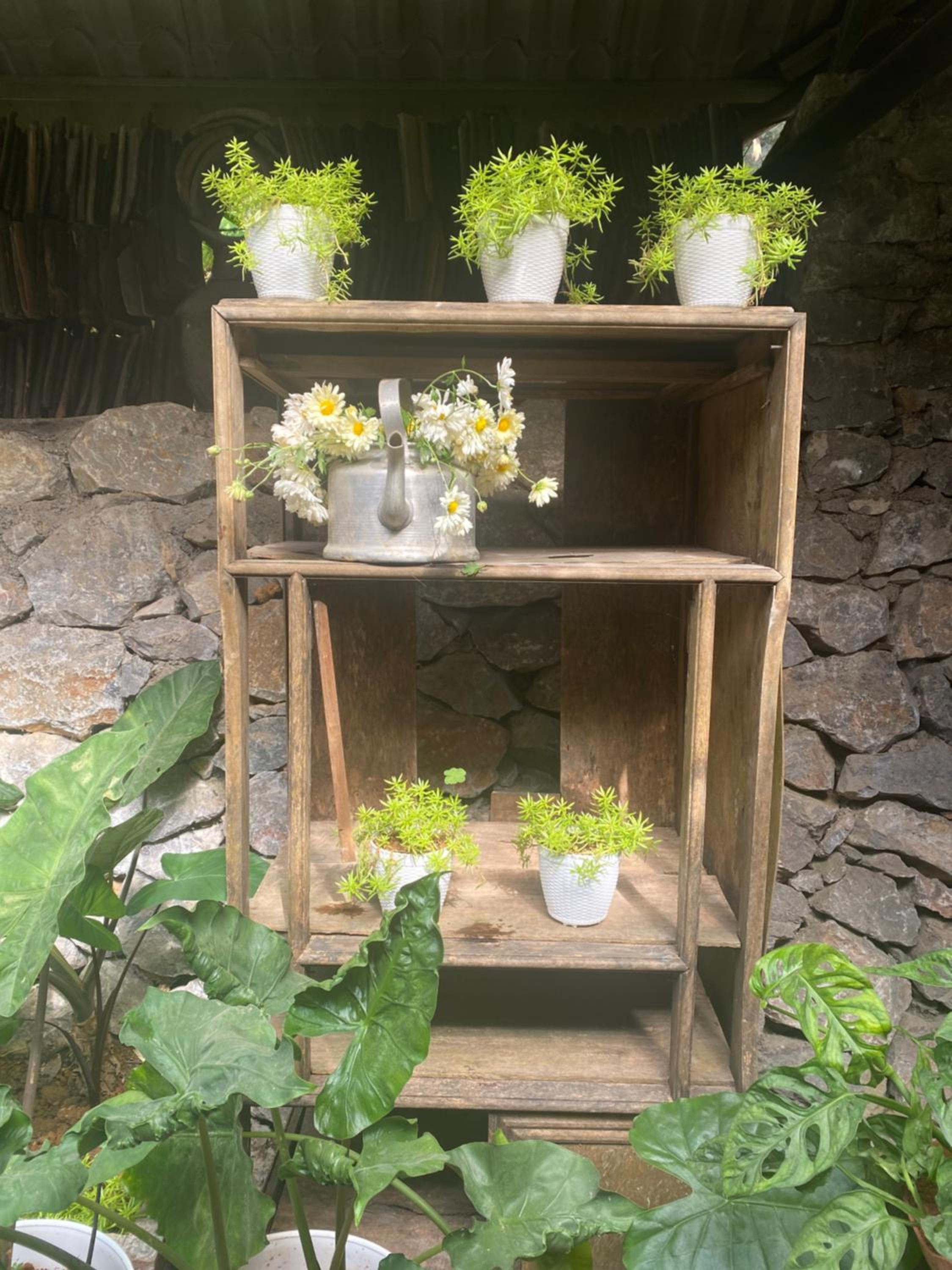 Le Petit Home
