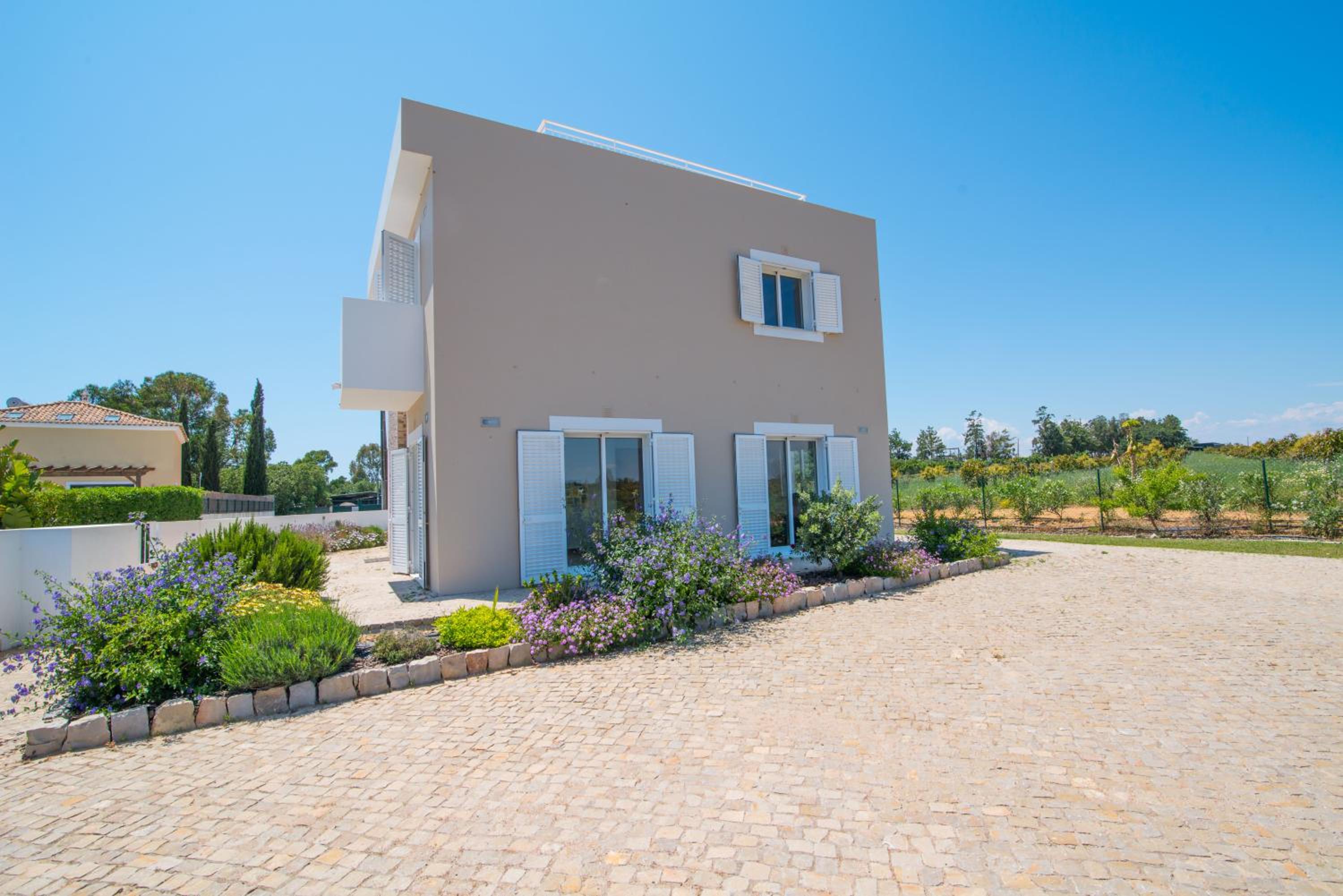 House of Trees By ALGARTUR