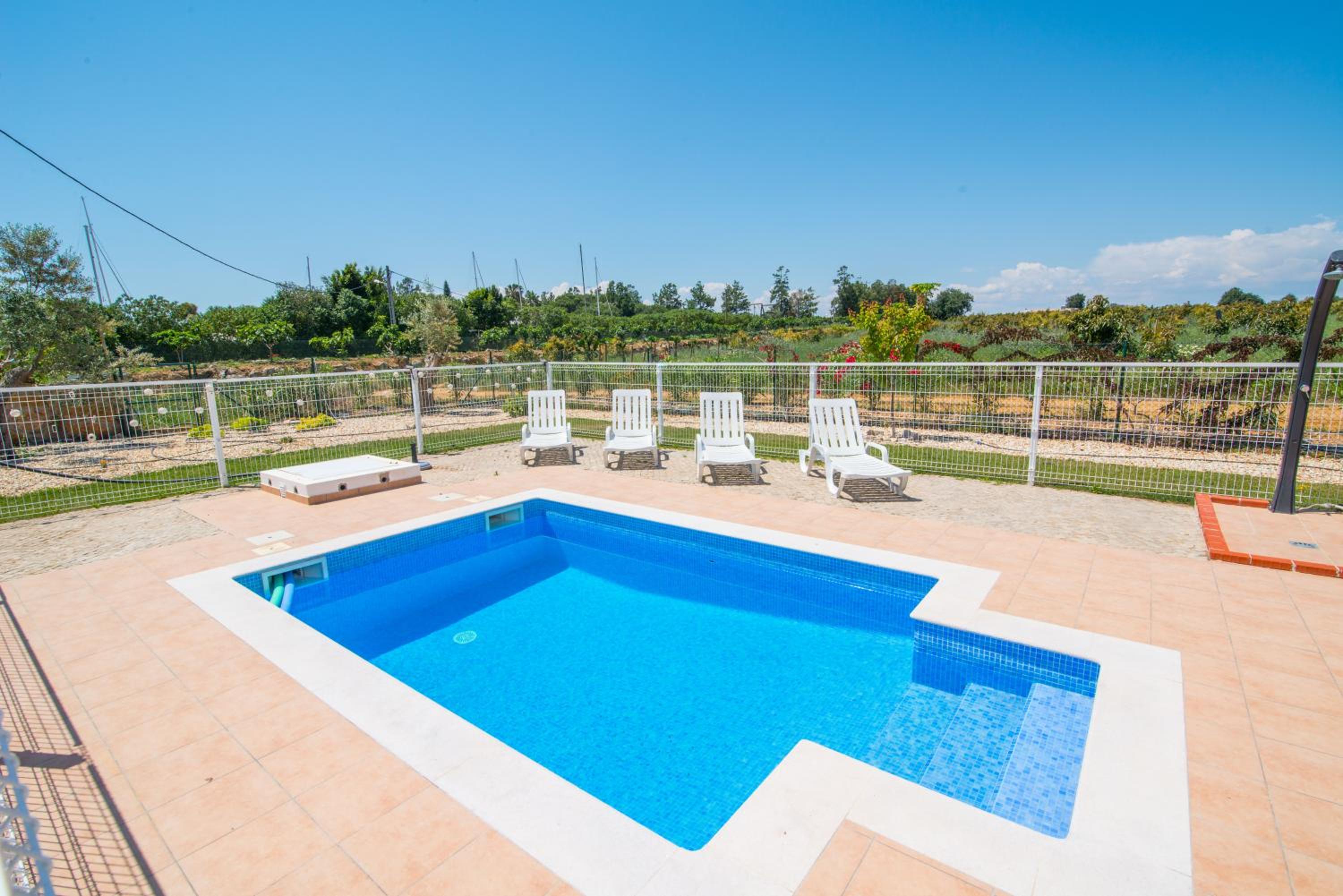 House of Trees By ALGARTUR