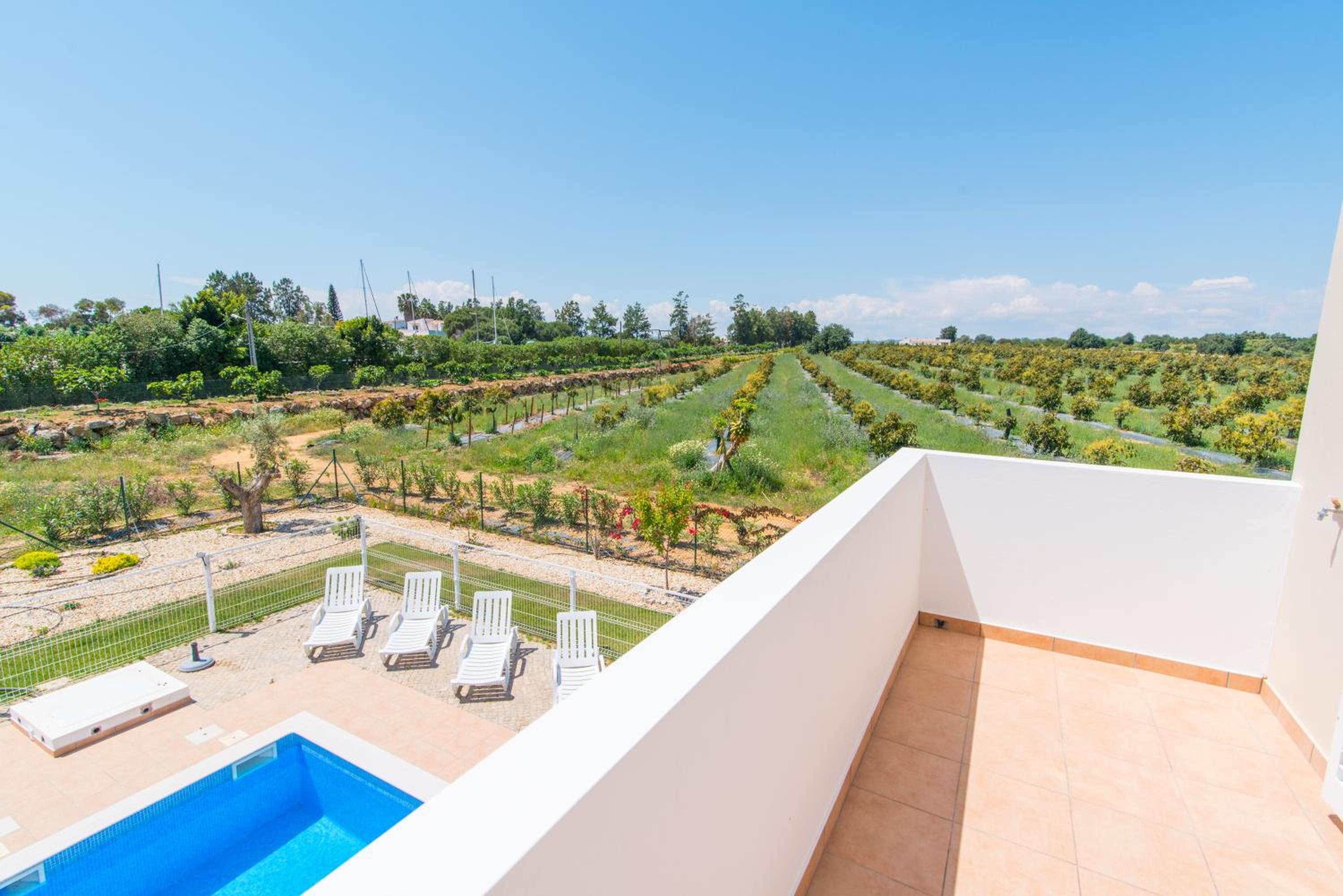 House of Trees By ALGARTUR