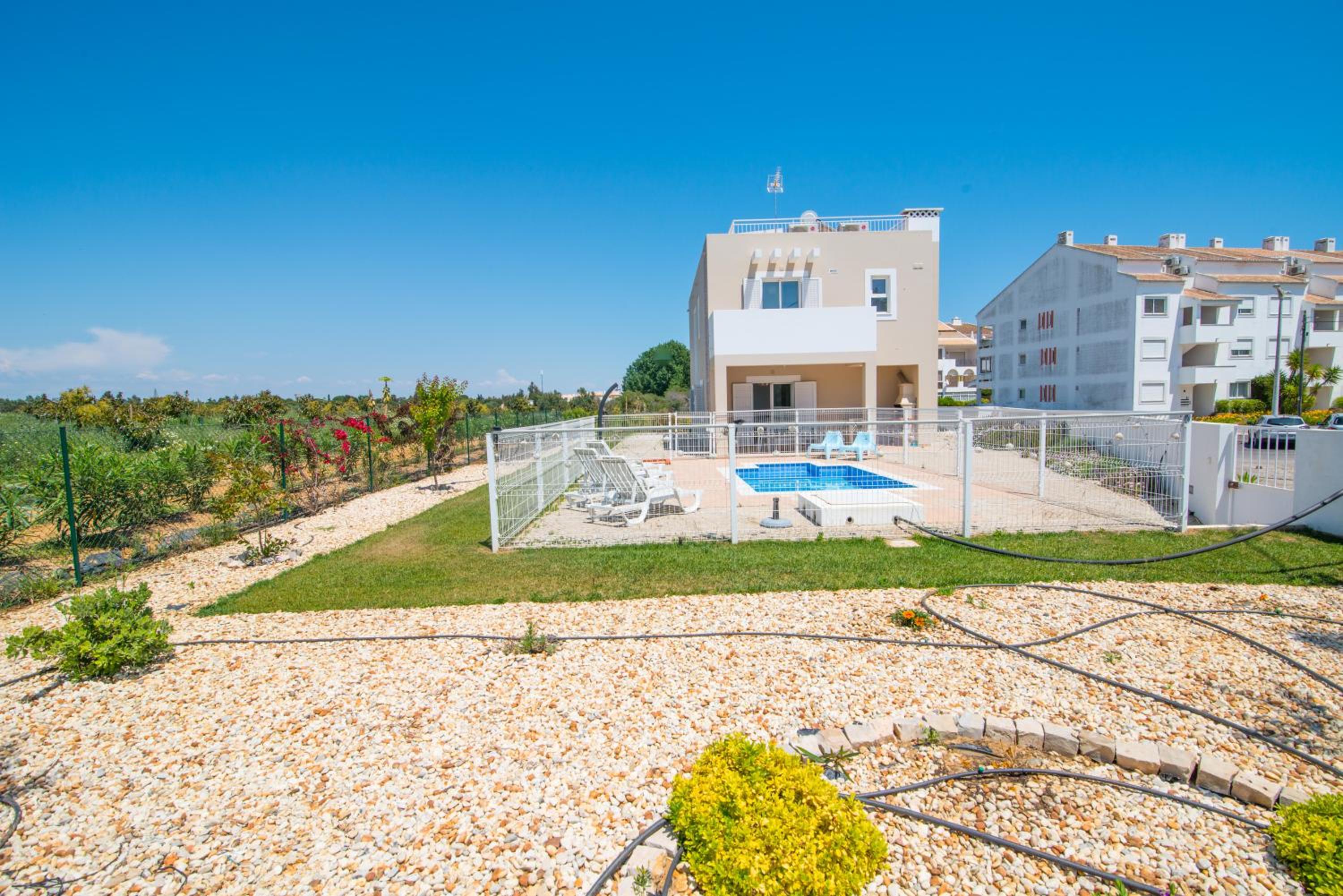 House of Trees By ALGARTUR