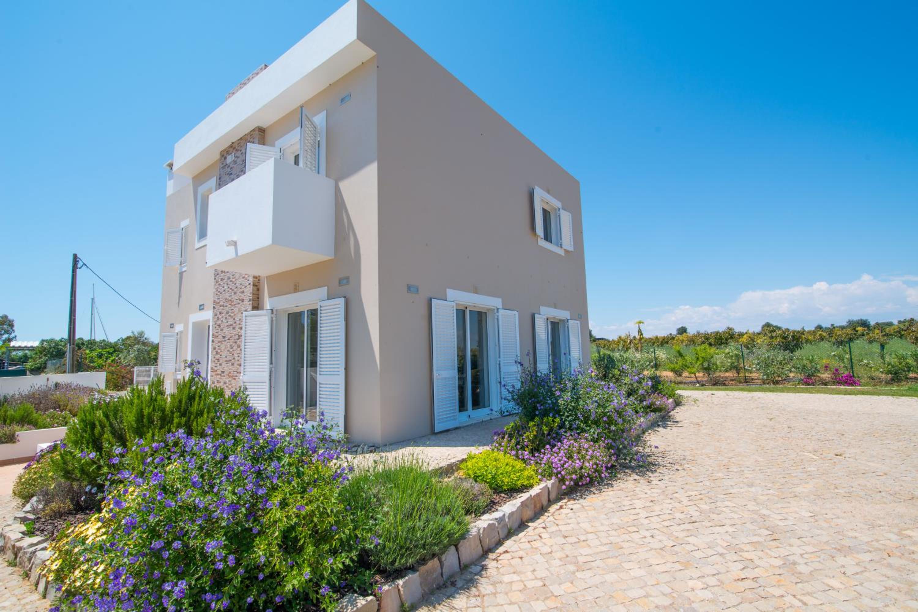 House of Trees By ALGARTUR