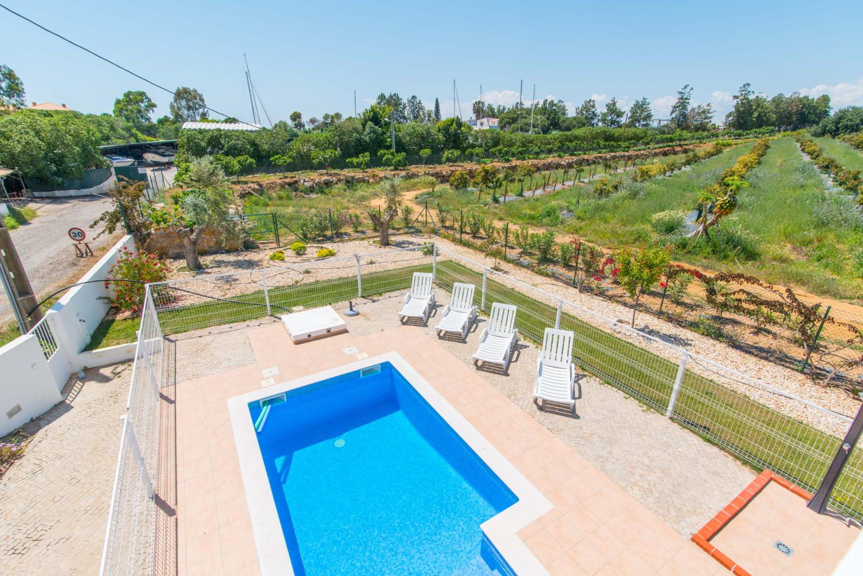 House of Trees By ALGARTUR
