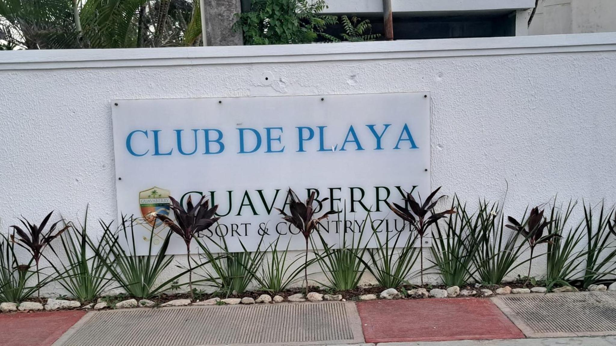 guababerry Juan dolio