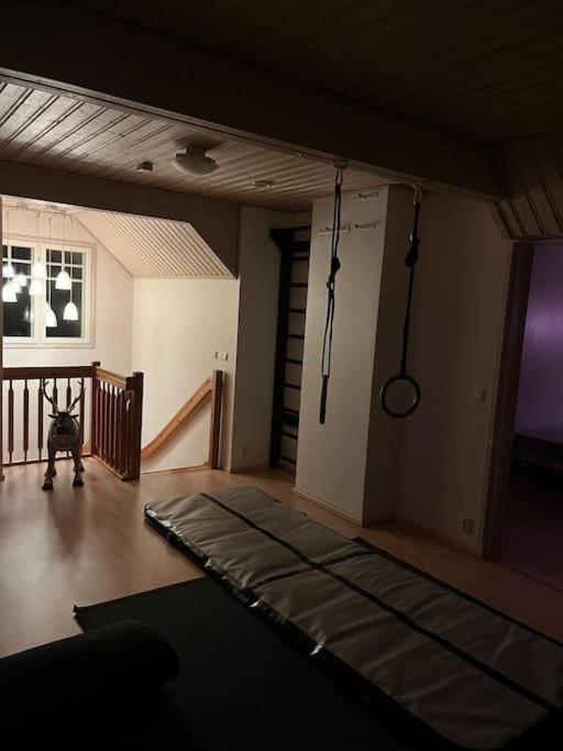 Villa Christmasland Arctic circle