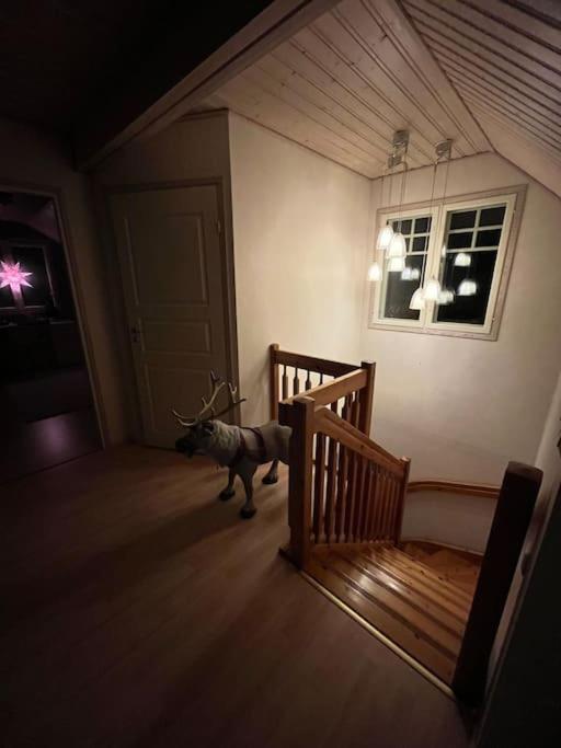 Villa Christmasland Arctic circle