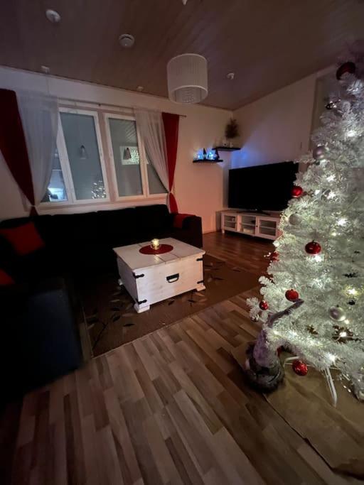Villa Christmasland Arctic circle
