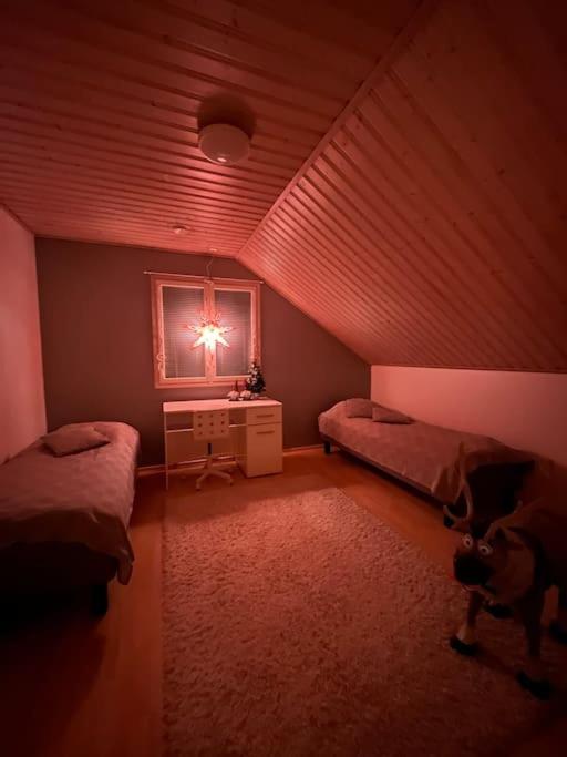 Villa Christmasland Arctic circle