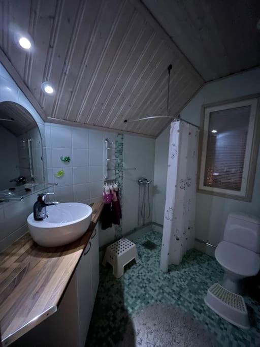 Villa Christmasland Arctic circle