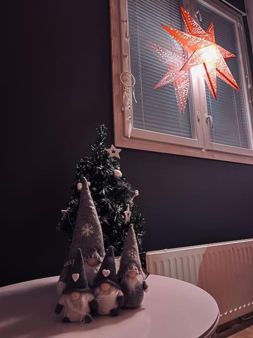 Villa Christmasland Arctic circle