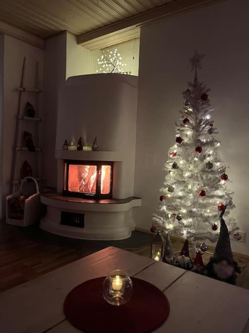 Villa Christmasland Arctic circle