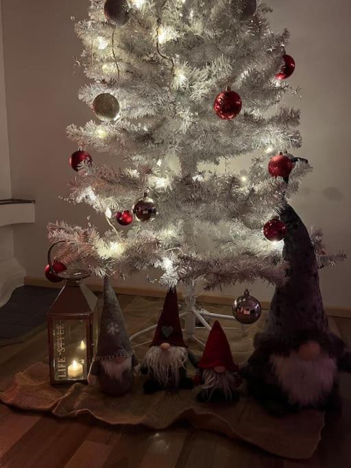 Villa Christmasland Arctic circle
