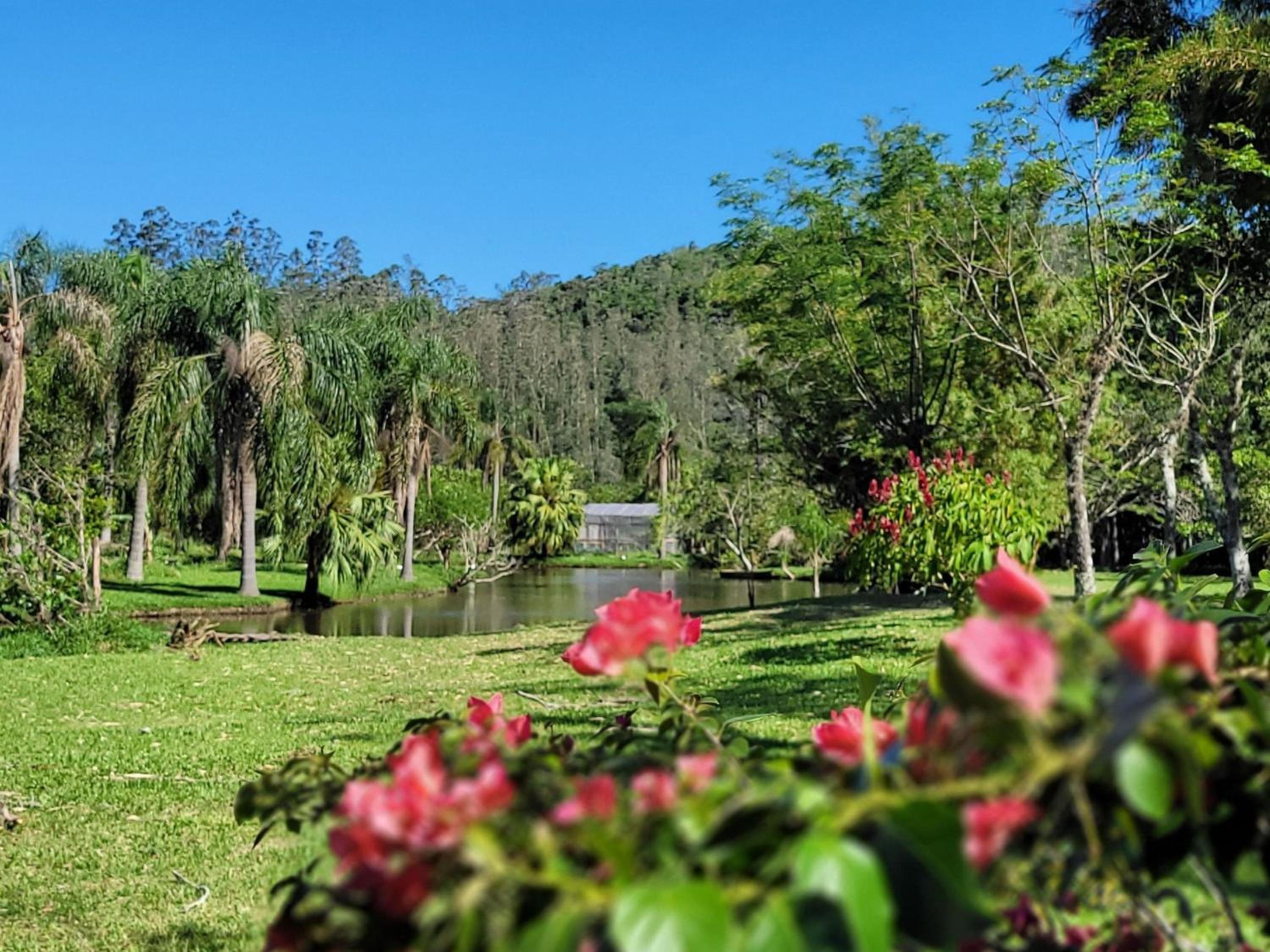 AriMara Chalés & Ecoturismo