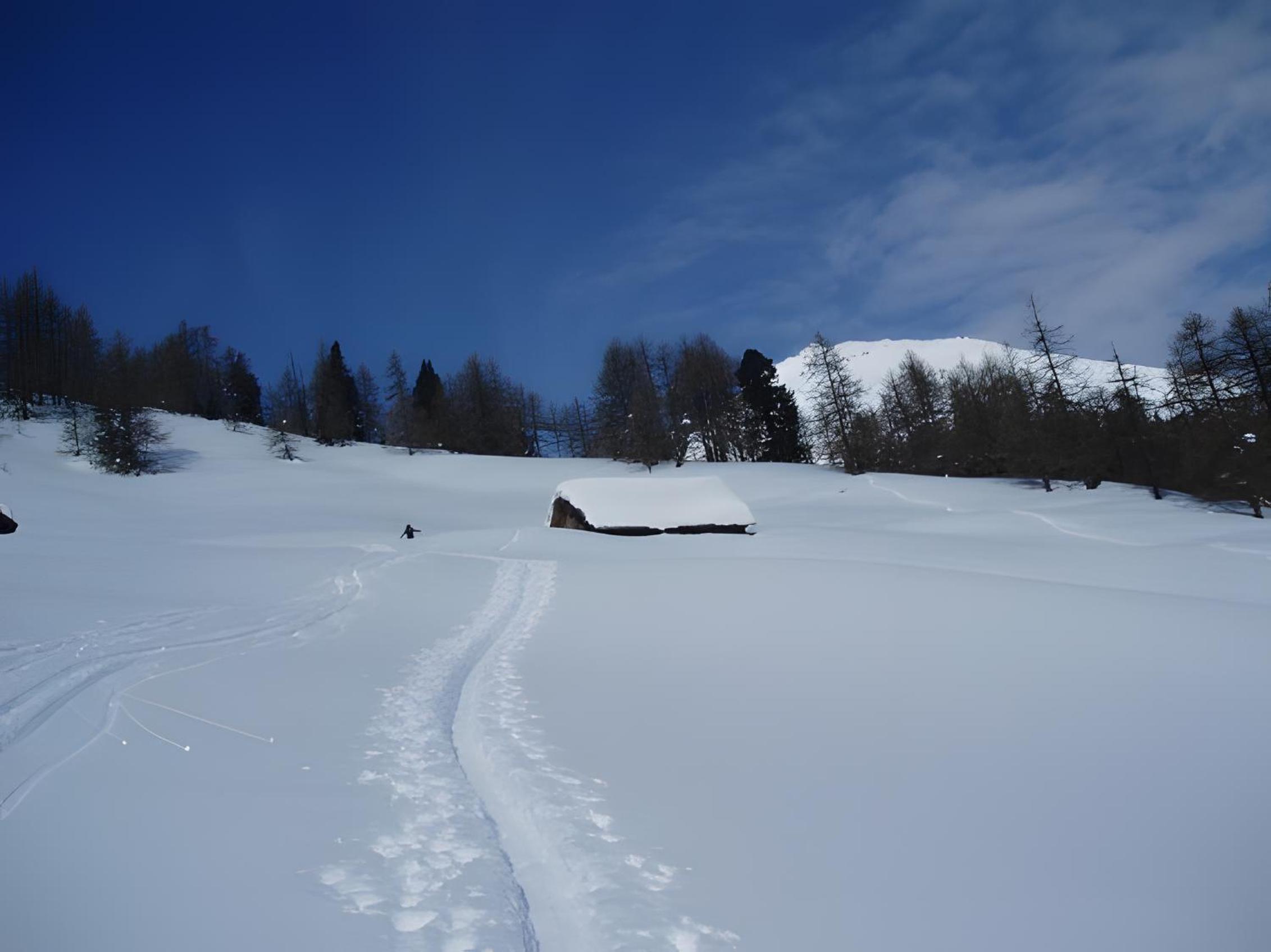Alpenchalets Weissenbacher-Fuchsbau