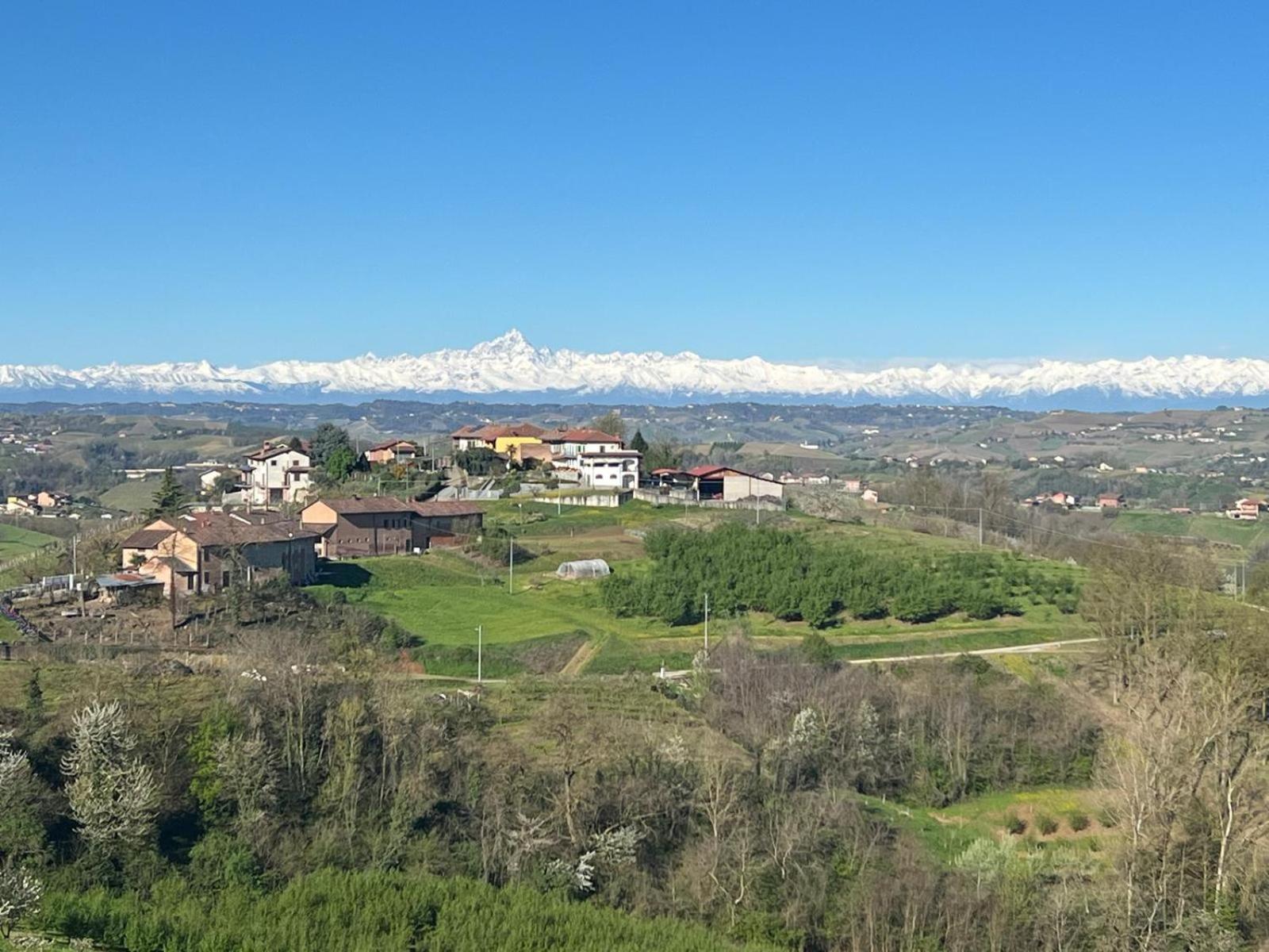 Splendid Villa Magna with Pool and Park - Langhe Hills view 5