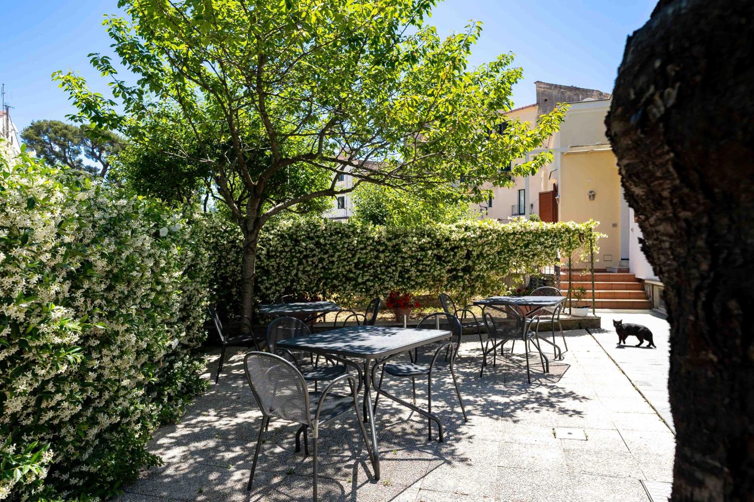 A Casa Dei Nonni photo 4