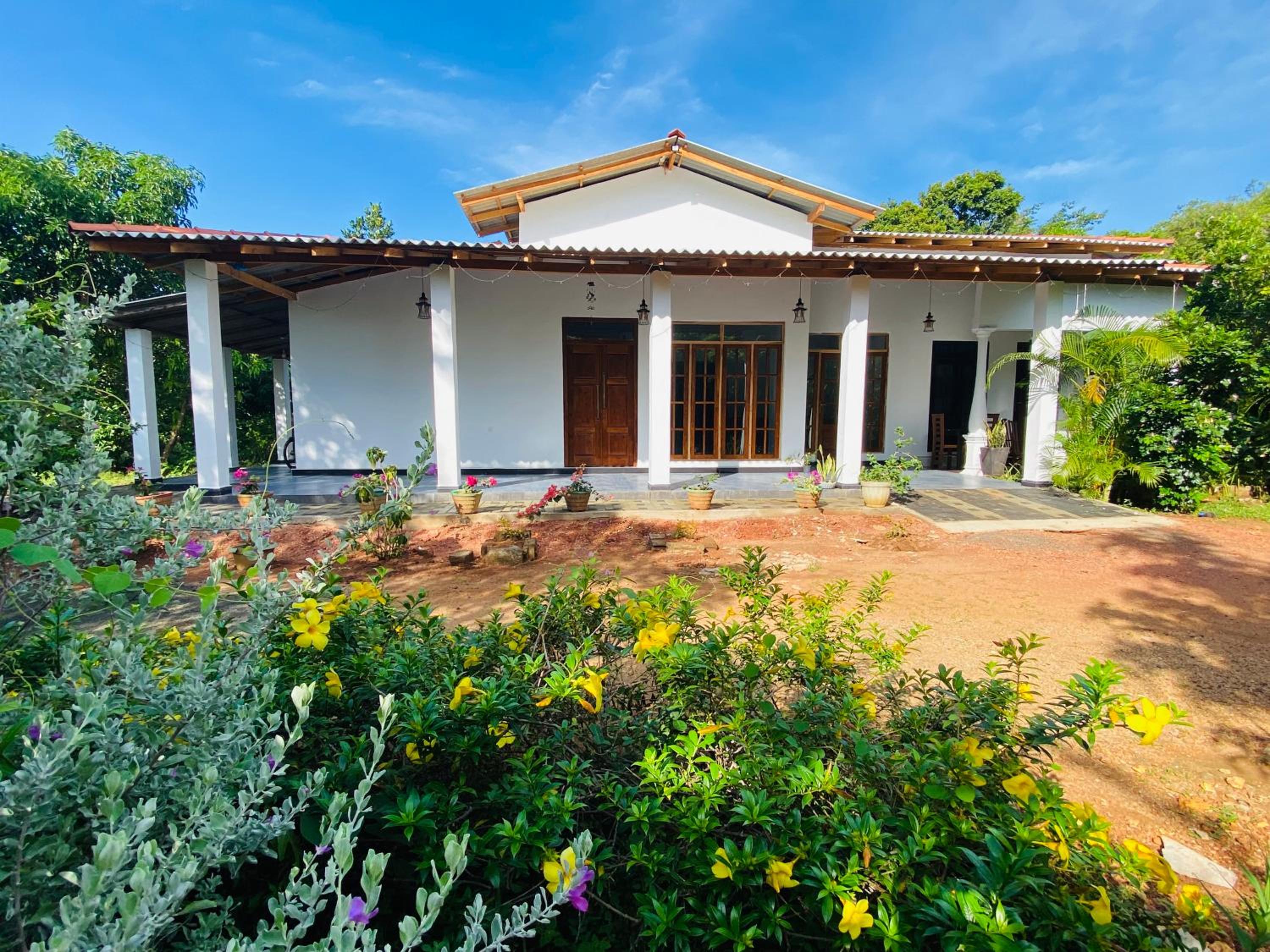 Fairview Dill homestay