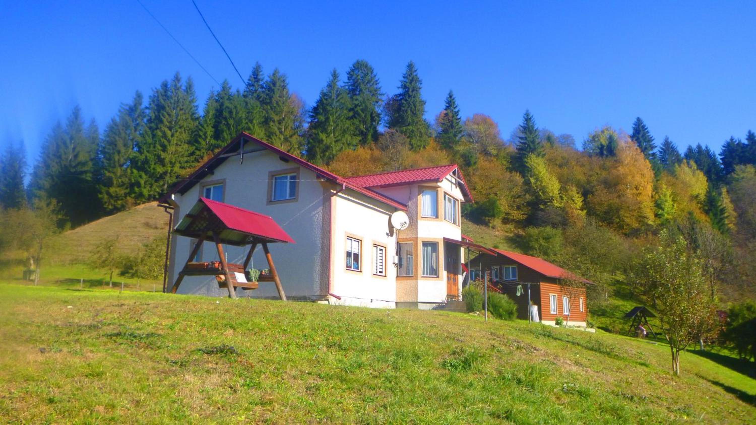 Pid lisochkom view 2