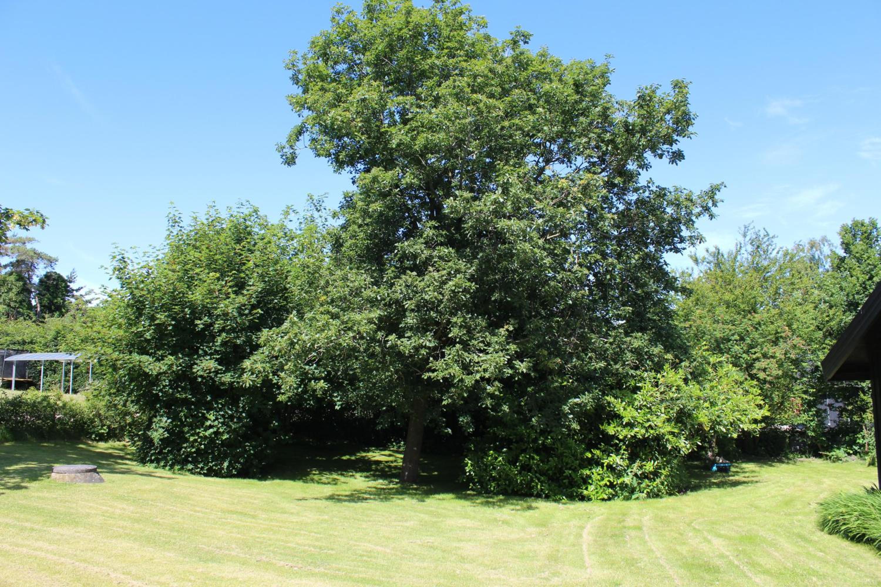 Amazing Home In Ebeltoft With 3 Bedrooms, Sauna And Internet view 3