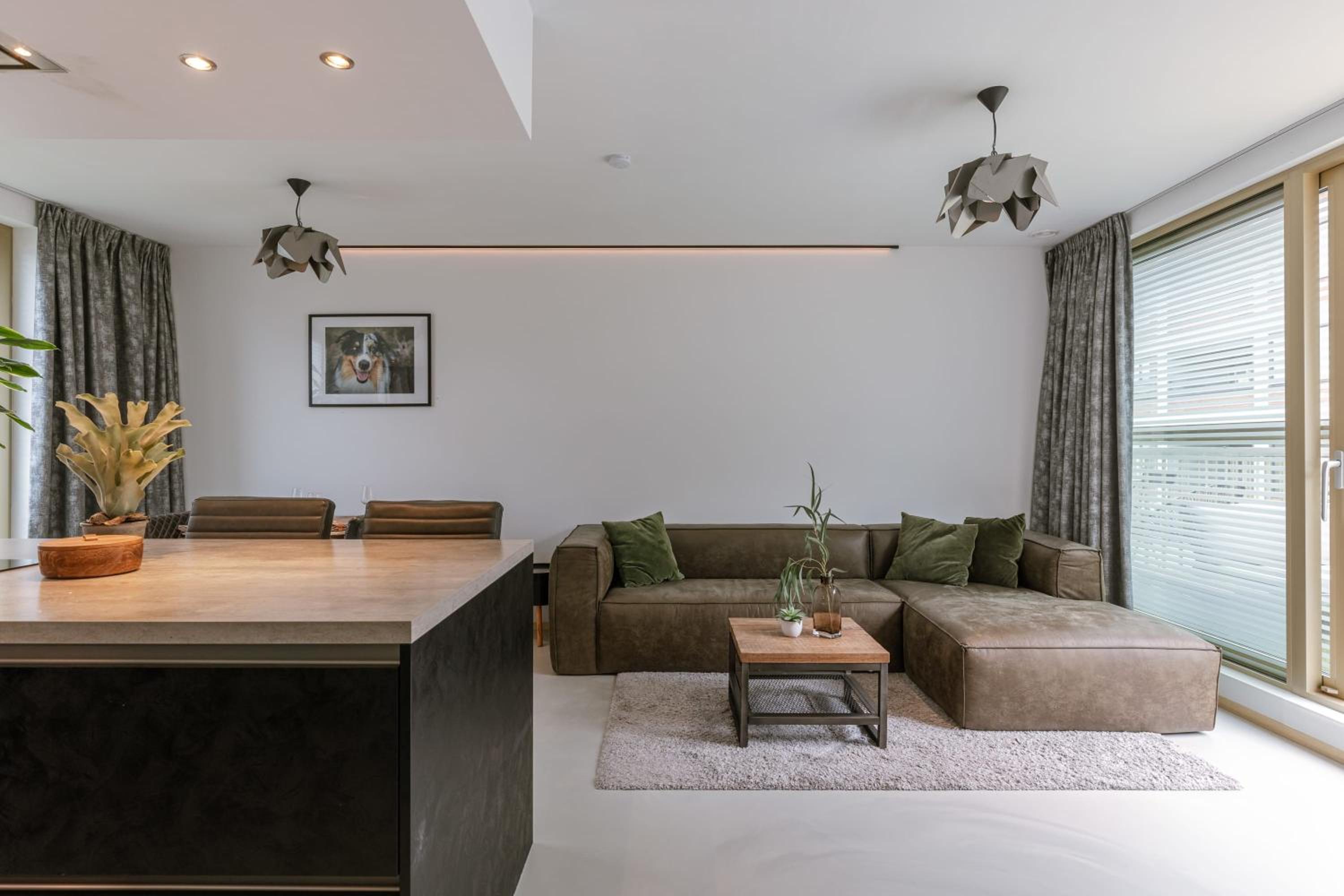 Modern apartment with large terrace