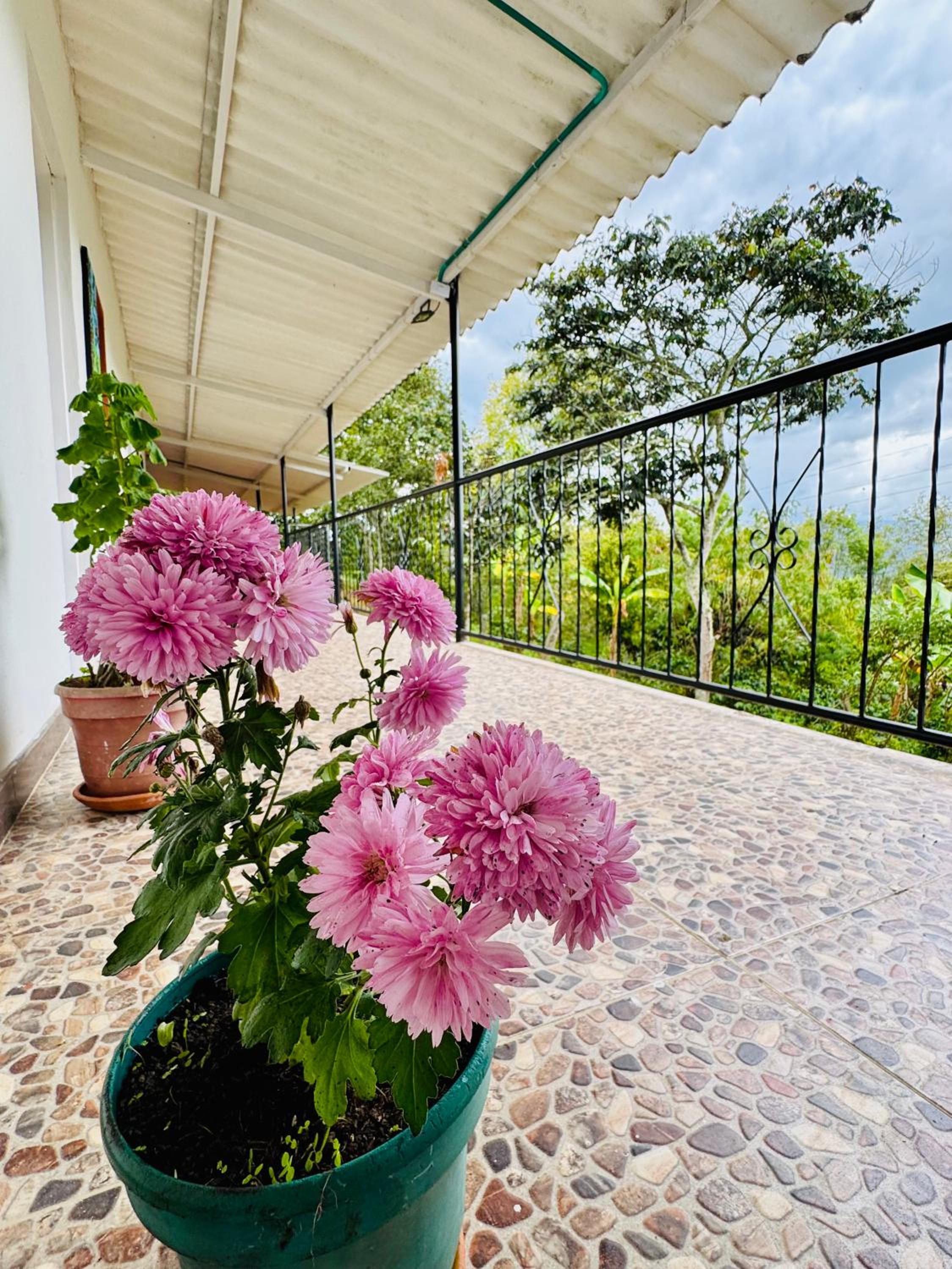 Cabaña flores en la colina - jacuzzi
