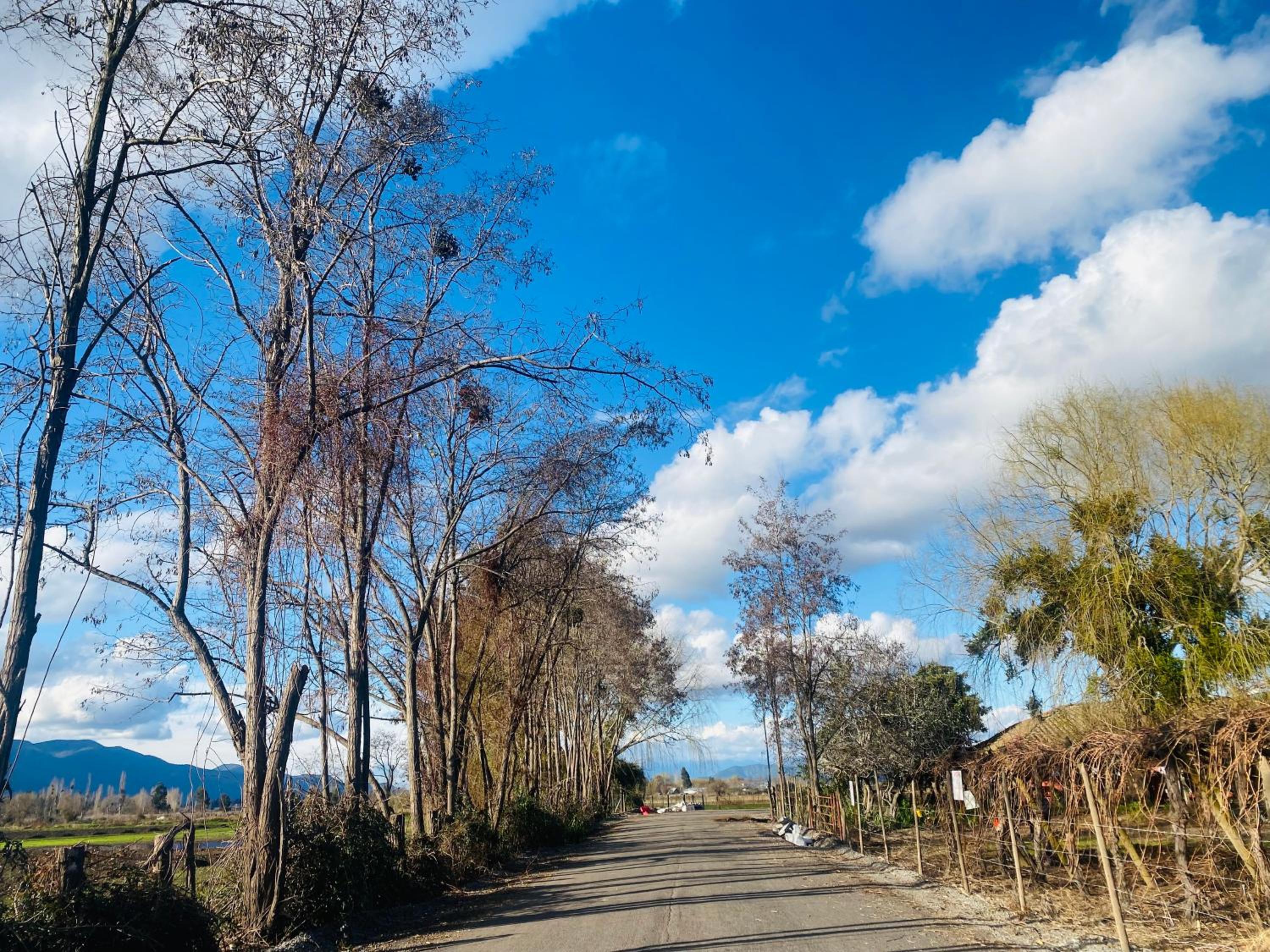 Colchagua Tiny Sta Cruz