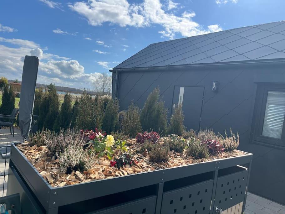 Tiny Ferienhaus Hilde 100m Entfernt zum See Strand