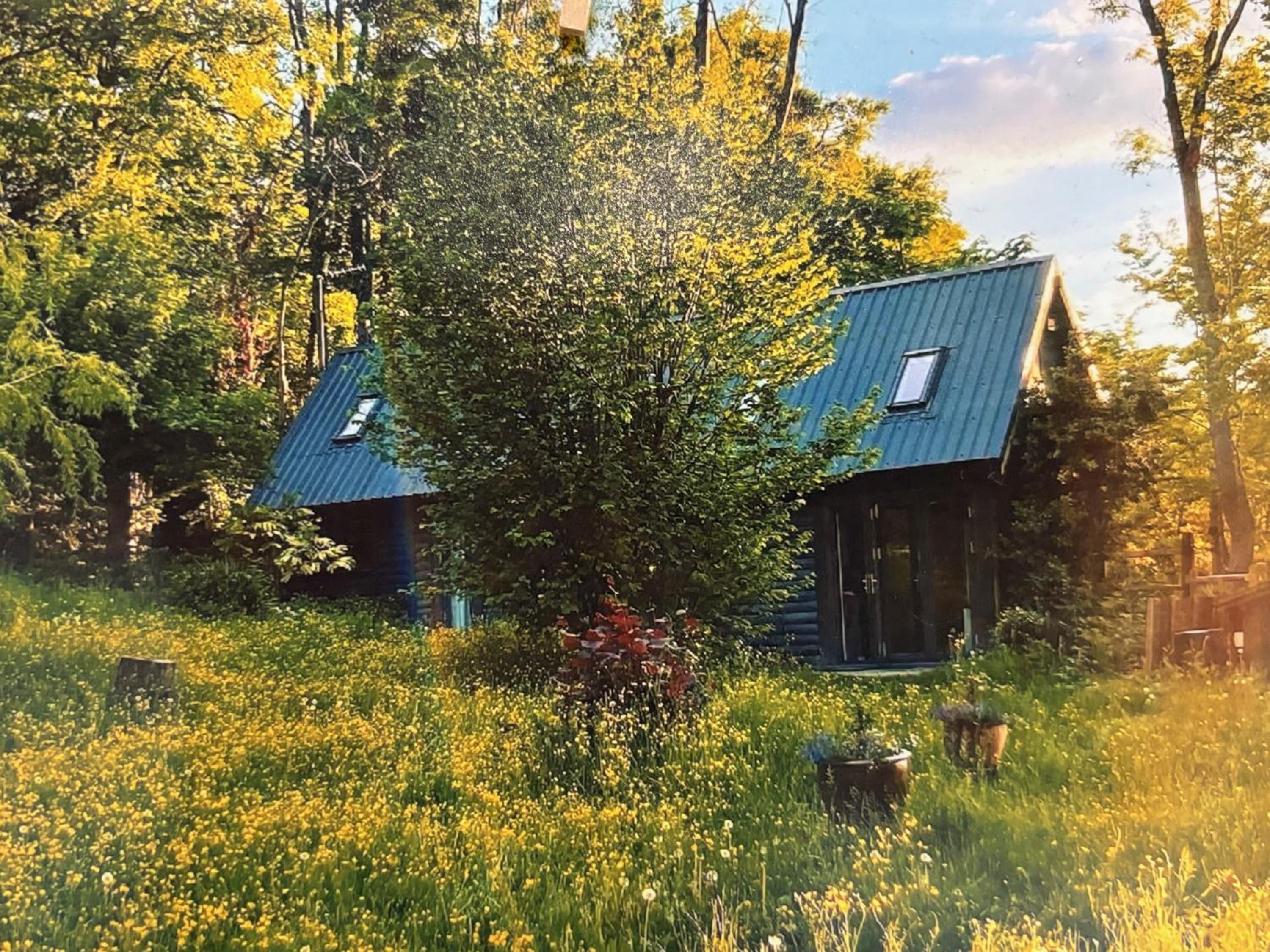 White Hill Lodge - rustic cabin set in a stunning meadow view 3