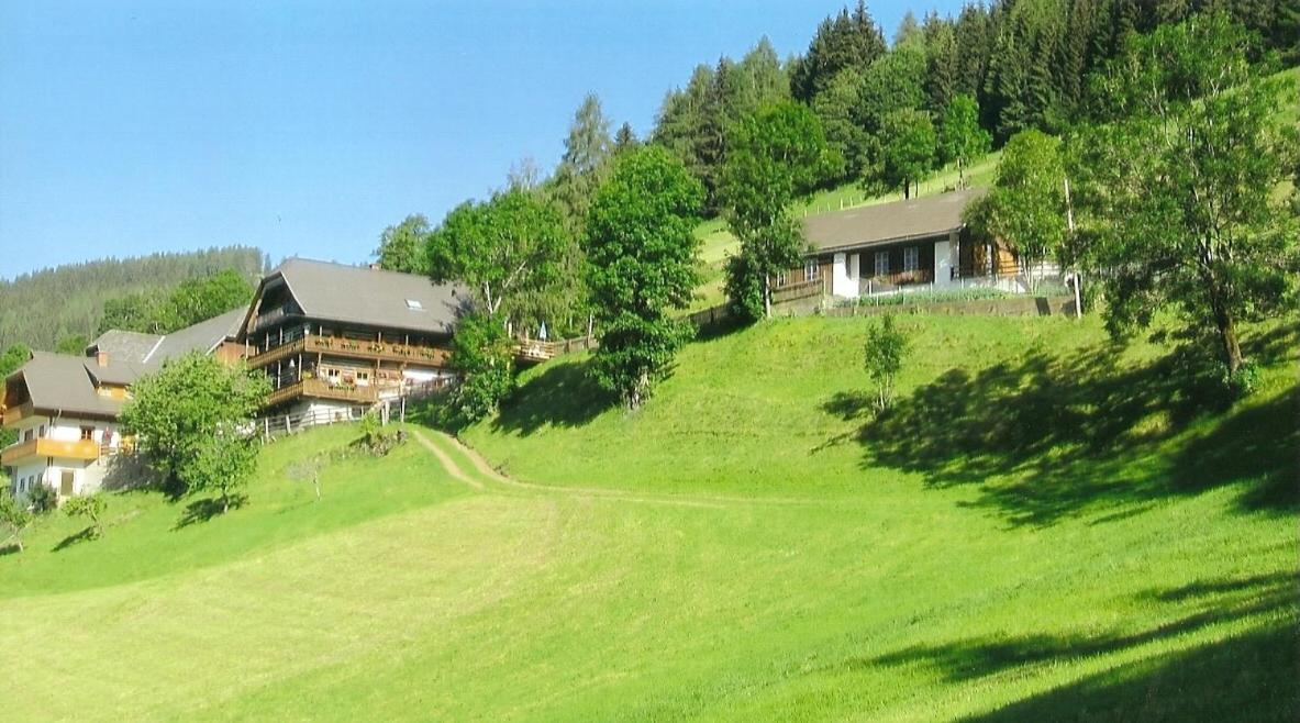 Apartment "Sunseitn" am Pietschacherhof view 4