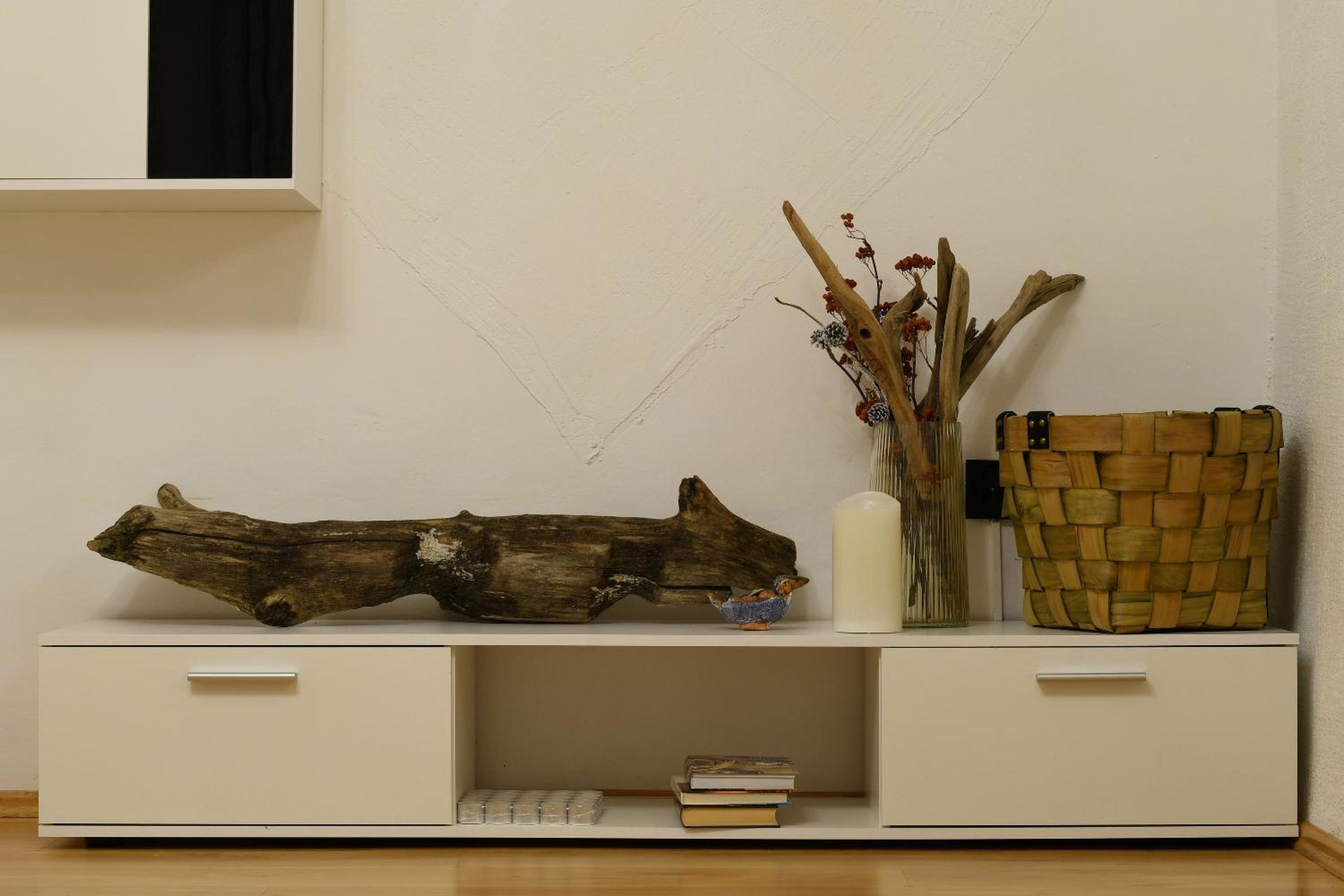 Ronu apartment