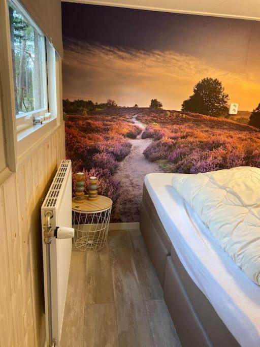 Knus Boschalet met veel Privacy op de Veluwe