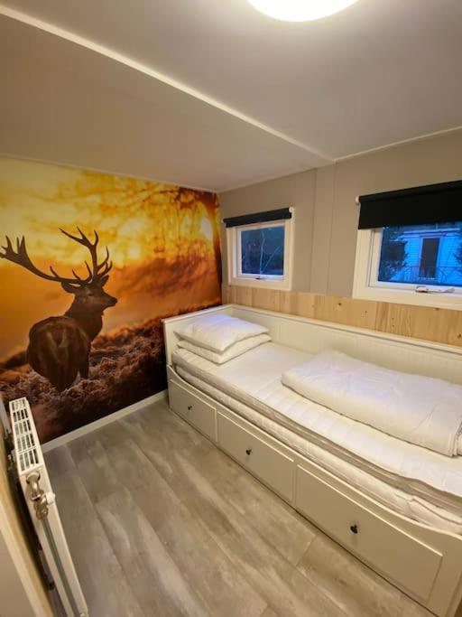 Knus Boschalet met veel Privacy op de Veluwe