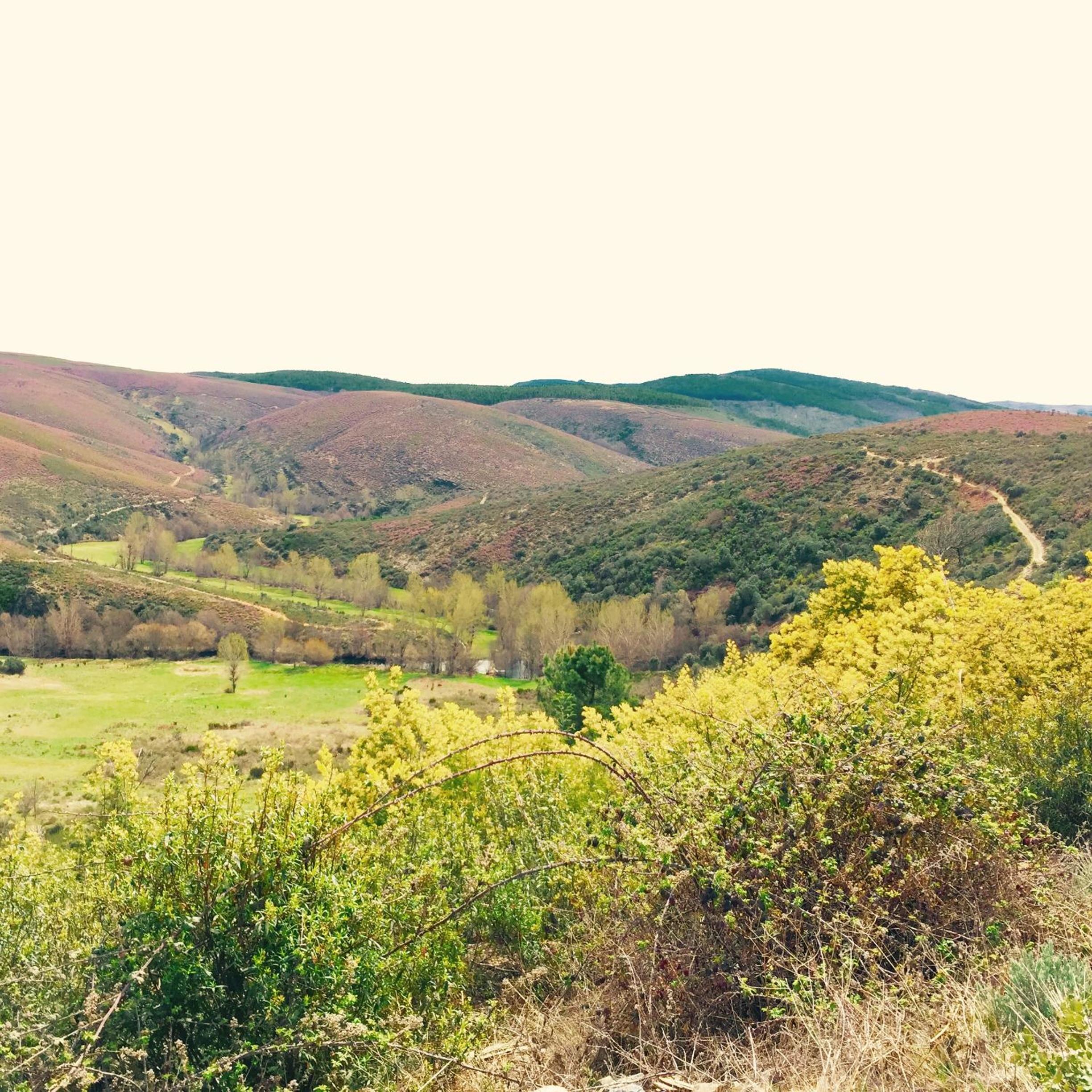 other