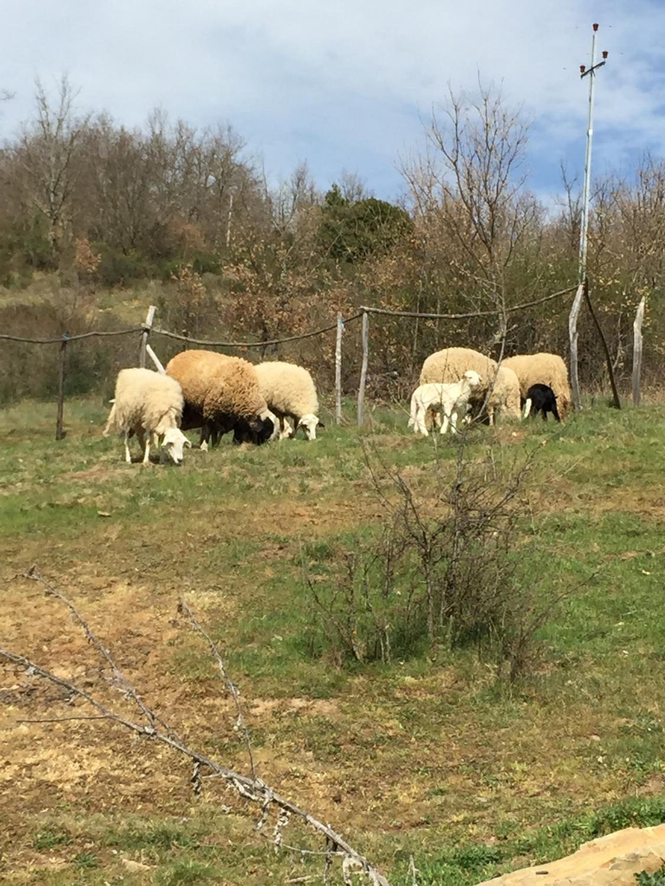 other