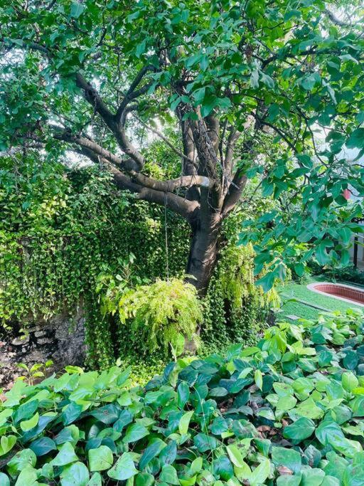 Modern Comfort - Spacious 2BR in Walled City