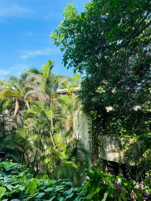 Modern Comfort - Spacious 2BR in Walled City