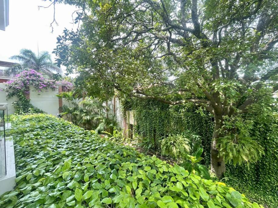 Modern Comfort - Spacious 2BR in Walled City