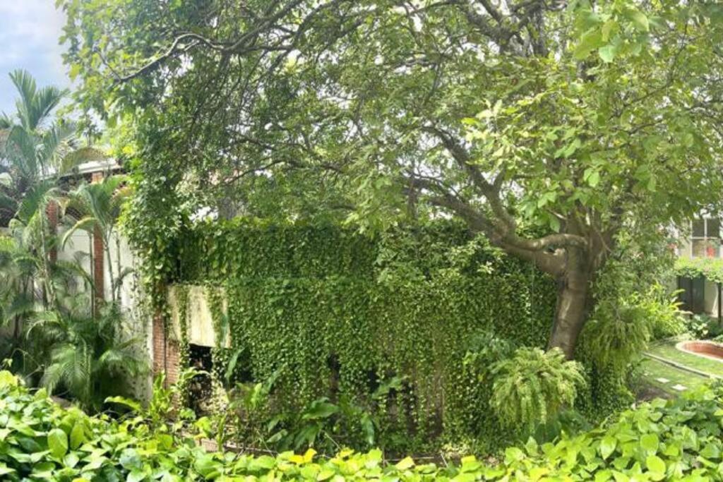 Modern Comfort - Spacious 2BR in Walled City