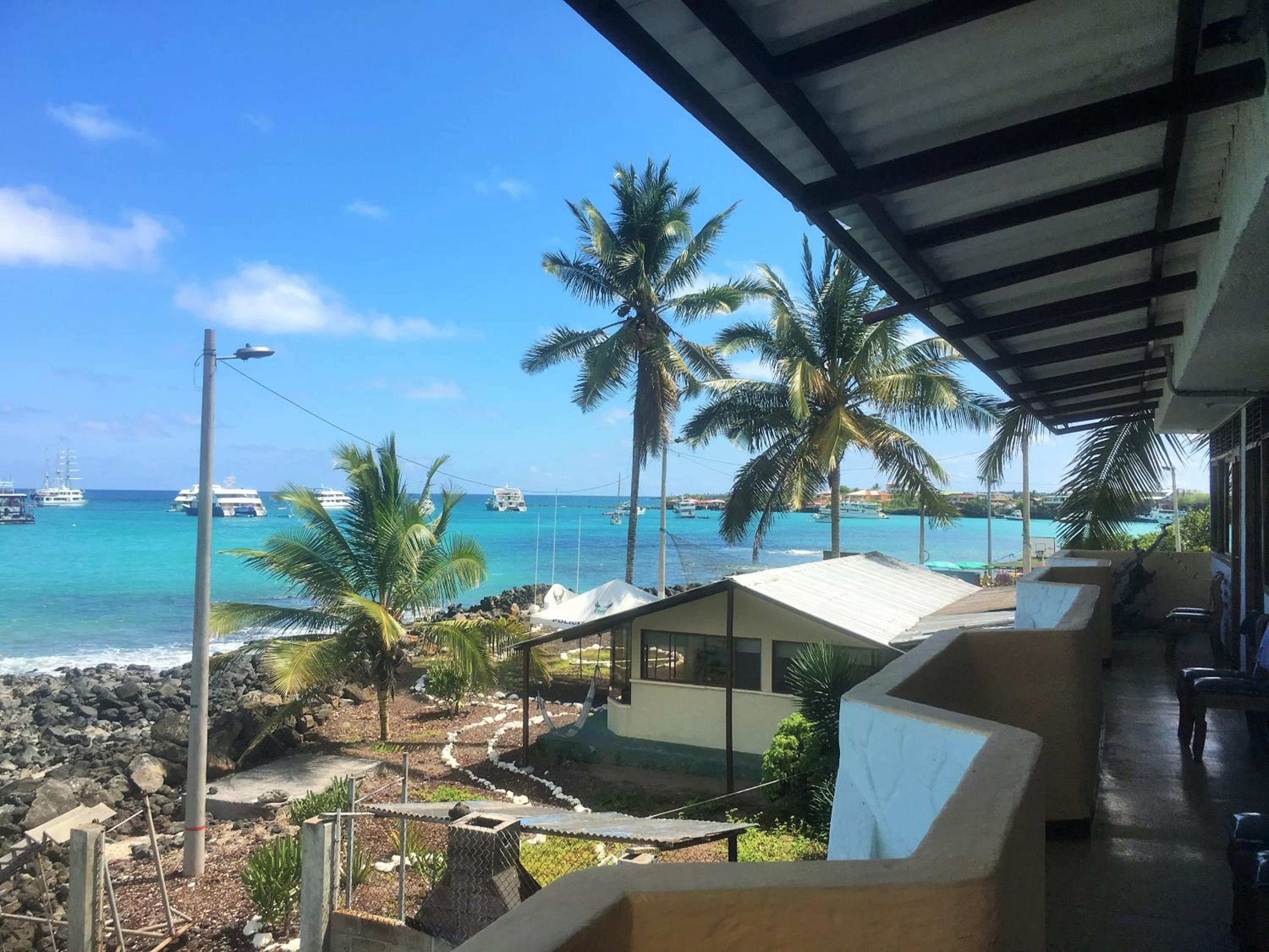 Photo 40