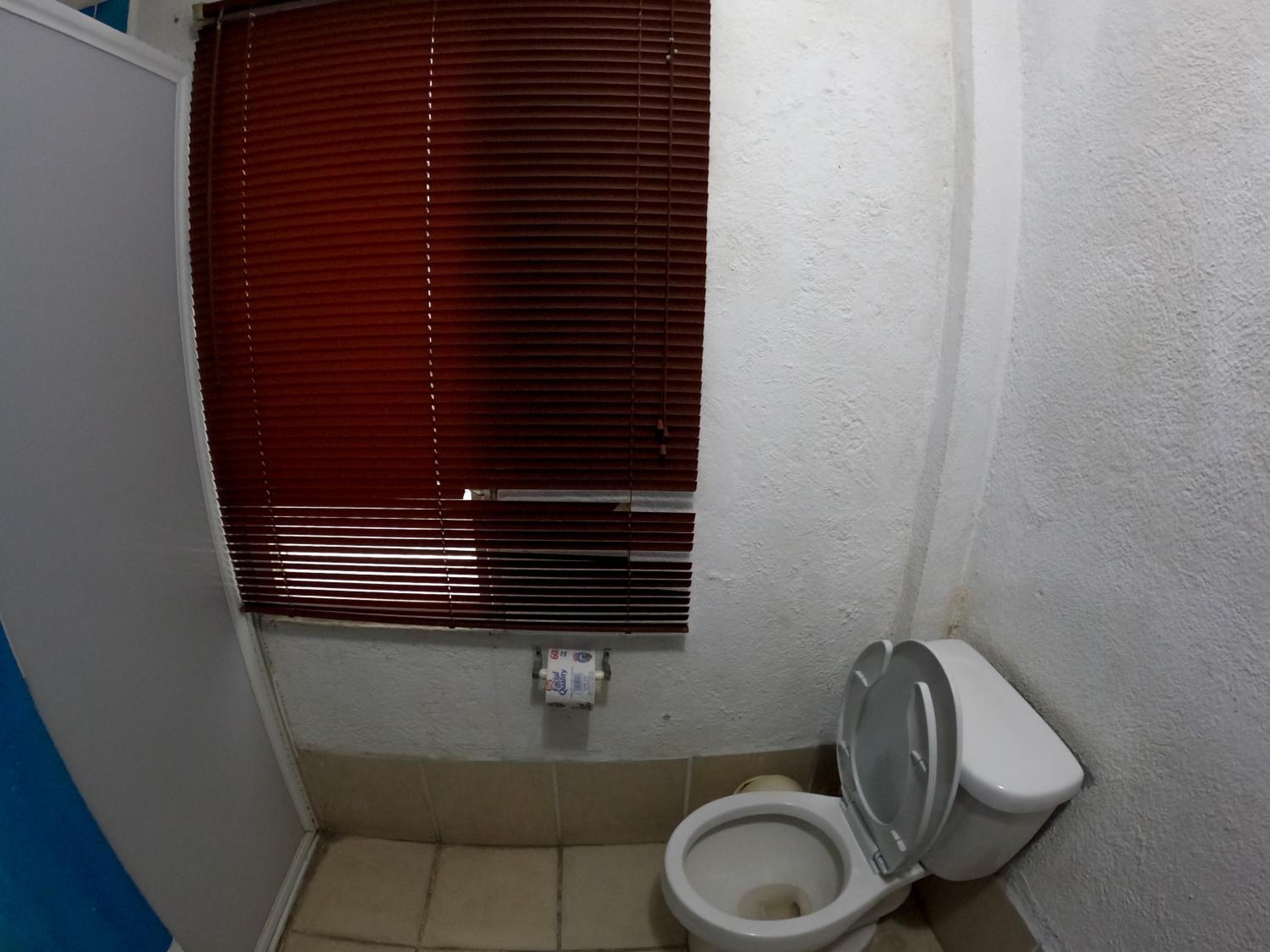 Photo 38