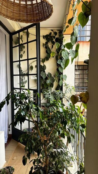 Rorot lush 2 bdrm Riverside view 4