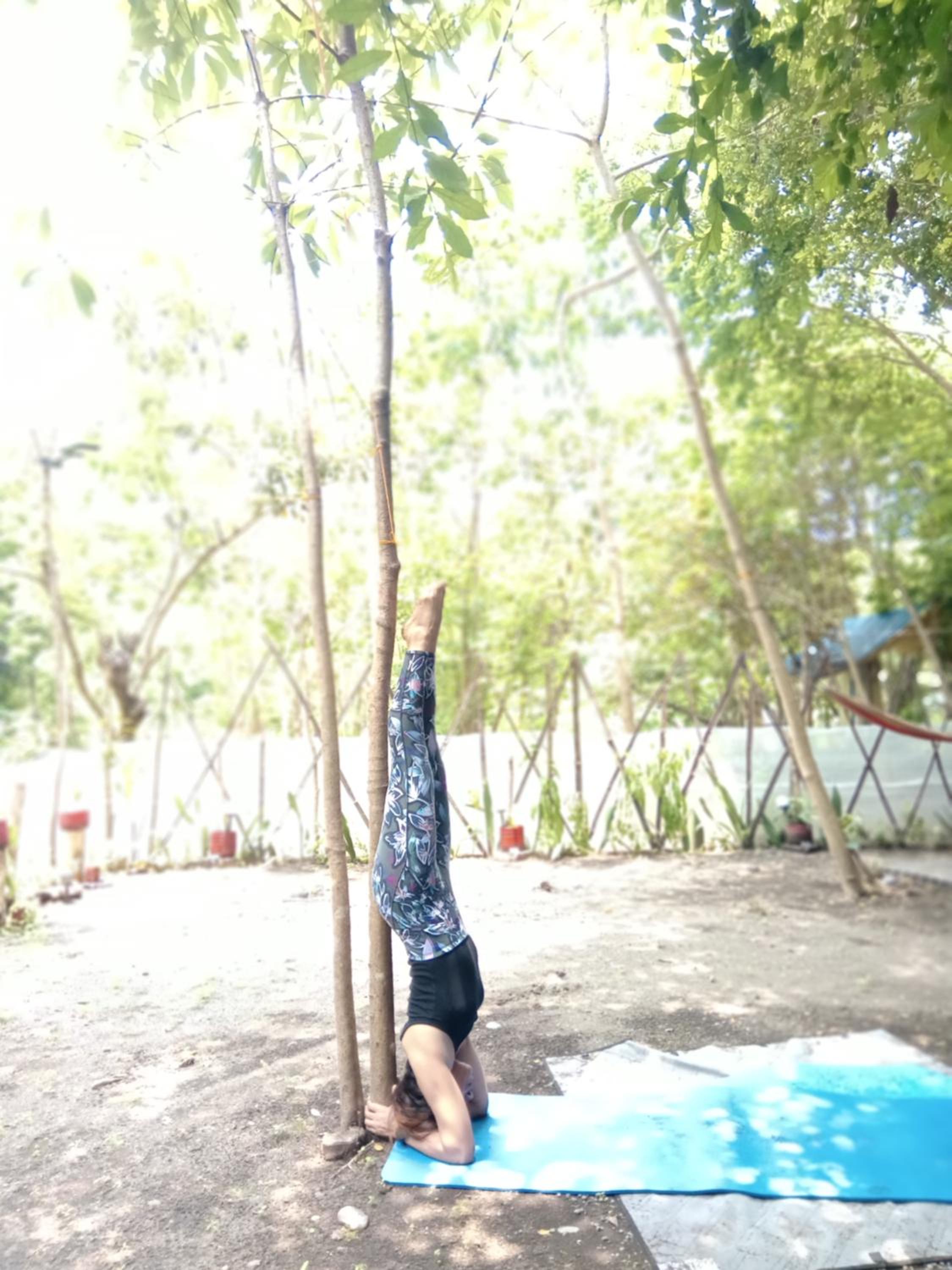 JUNGLE AERIAL ARTS NAMASTE LA UNION Chi fan kubo 2pax, photo 14