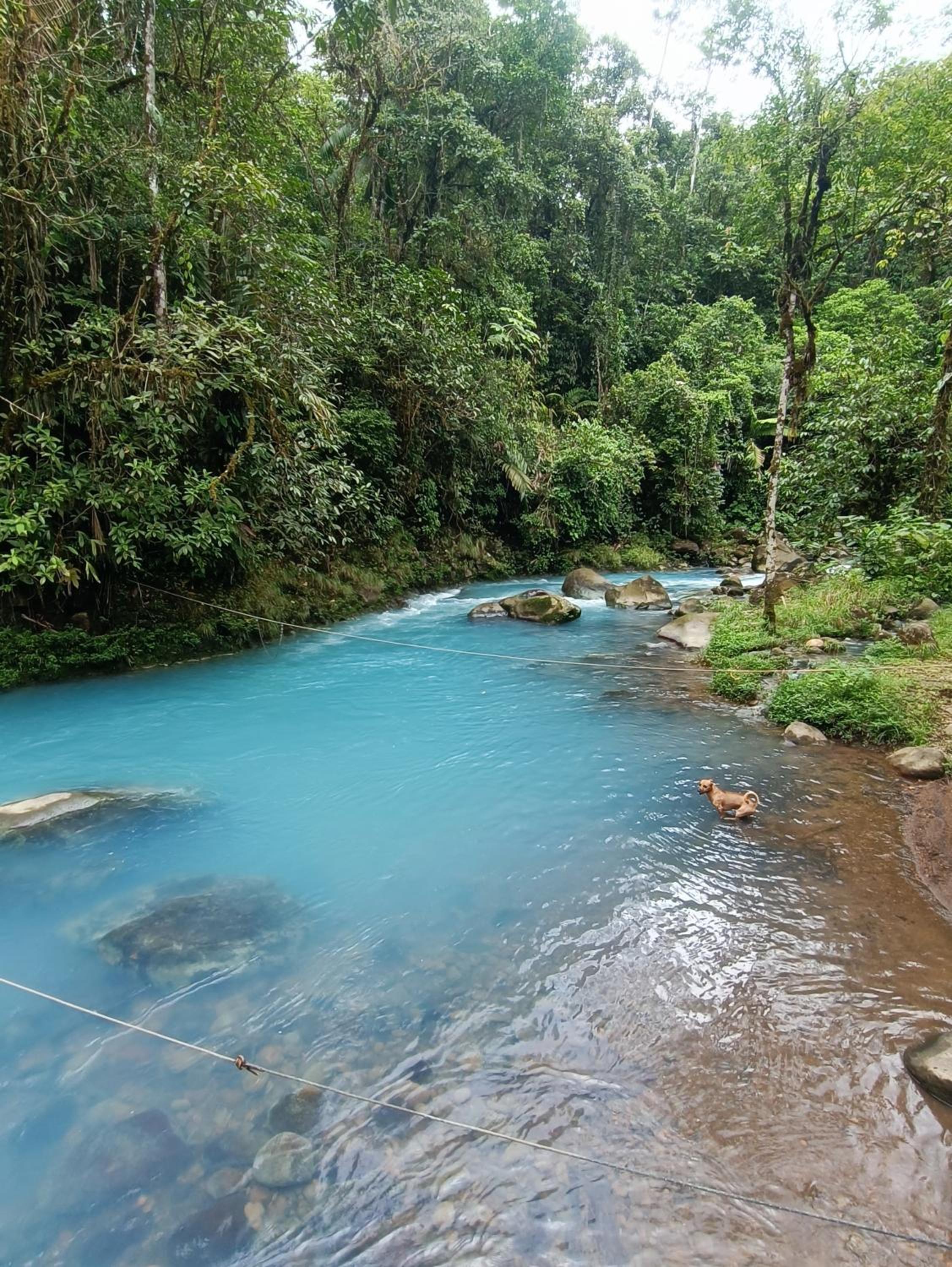 Bitzu Dome-Bijagua Riverside Glamping