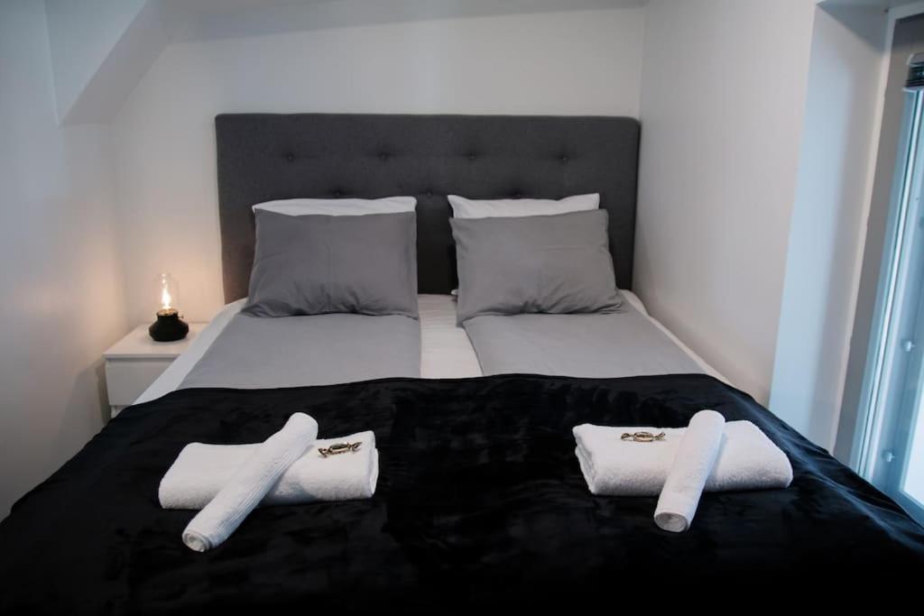 Elegant Penthouse Loft - Near the Airport view 2