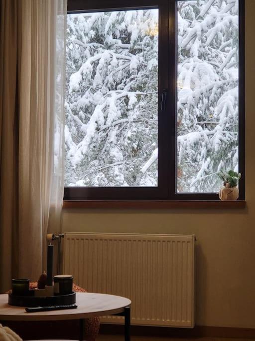Exquisite Euphoria apartment for 4 Guests in Borovets Ski Resort