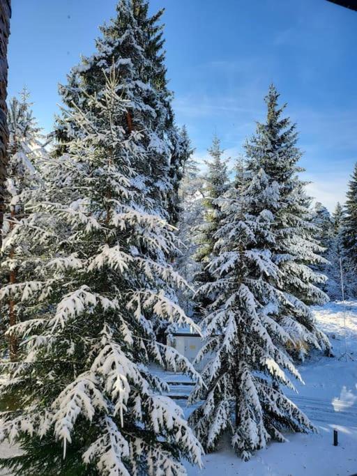 Exquisite Euphoria apartment for 4 Guests in Borovets Ski Resort