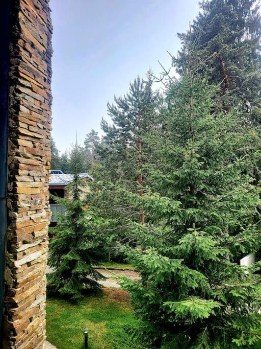 Exquisite Euphoria apartment for 4 Guests in Borovets Ski Resort